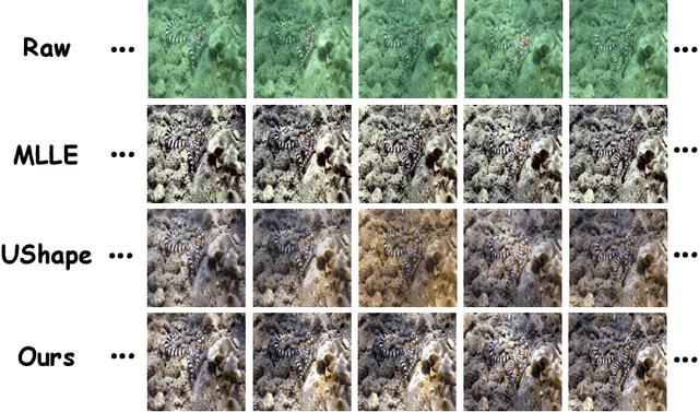 Figure 1 for End-To-End Underwater Video Enhancement: Dataset and Model