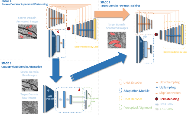 Figure 1 for SAMDA: Leveraging SAM on Few-Shot Domain Adaptation for Electronic Microscopy Segmentation