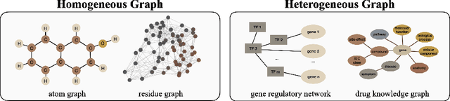 Figure 1 for Graph Representation Learning for Interactive Biomolecule Systems