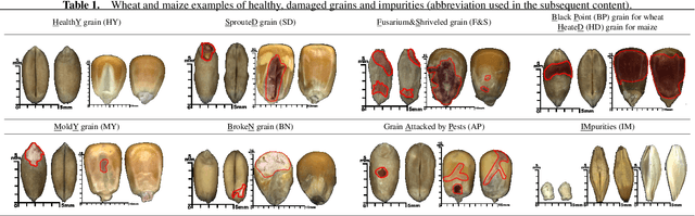 Figure 2 for Identifying the Defective: Detecting Damaged Grains for Cereal Appearance Inspection