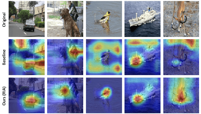 Figure 1 for Mitigating Bias: Enhancing Image Classification by Improving Model Explanations