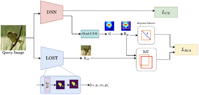 Figure 3 for Mitigating Bias: Enhancing Image Classification by Improving Model Explanations