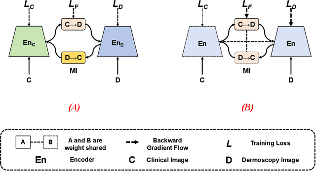 Figure 1 for Single-Shared Network with Prior-Inspired Loss for Parameter-Efficient Multi-Modal Imaging Skin Lesion Classification
