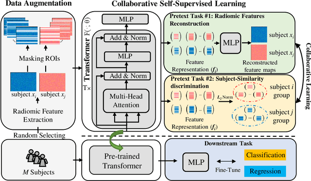 Figure 1 for A Novel Collaborative Self-Supervised Learning Method for Radiomic Data
