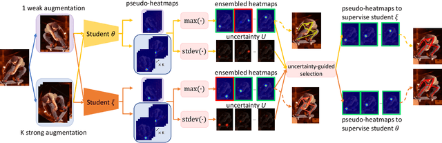 Figure 3 for Denoising and Selecting Pseudo-Heatmaps for Semi-Supervised Human Pose Estimation
