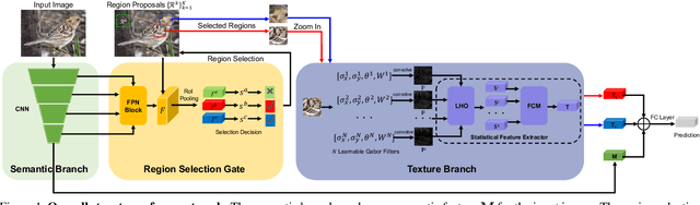 Figure 1 for Learning Gabor Texture Features for Fine-Grained Recognition