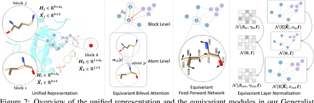 Figure 2 for Generalist Equivariant Transformer Towards 3D Molecular Interaction Learning
