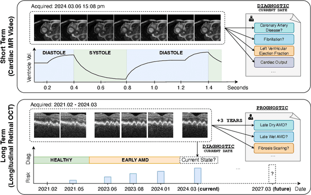 Figure 1 for Spatiotemporal Representation Learning for Short and Long Medical Image Time Series