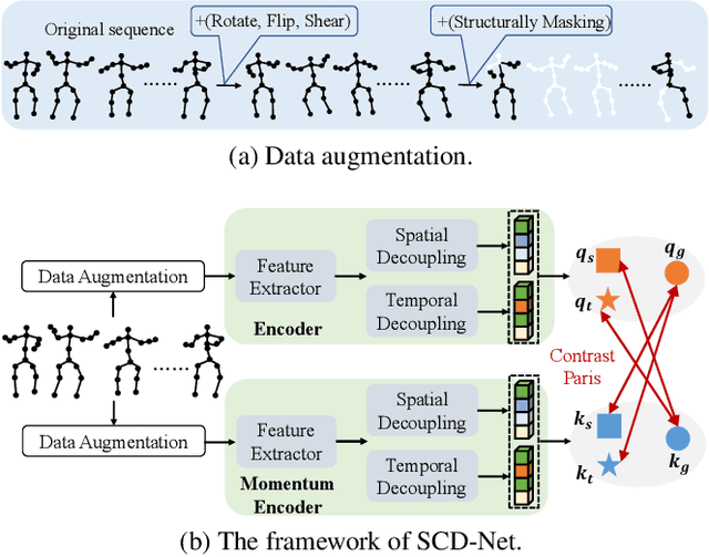 Figure 3 for SCD-Net: Spatiotemporal Clues Disentanglement Network for Self-supervised Skeleton-based Action Recognition
