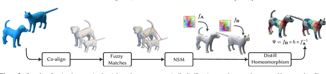 Figure 4 for Neural Semantic Surface Maps