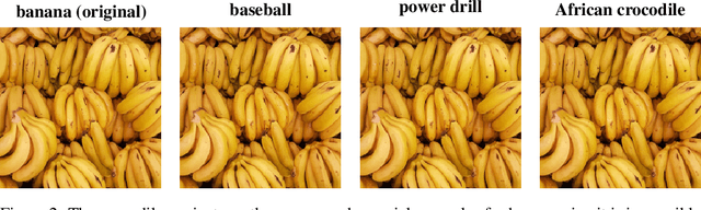 Figure 1 for Are Deep Neural Networks Adequate Behavioural Models of Human Visual Perception?