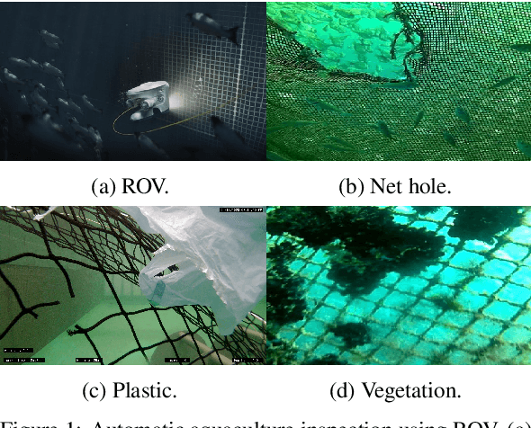 Figure 1 for Evaluating Deep Learning Assisted Automated Aquaculture Net Pens Inspection Using ROV
