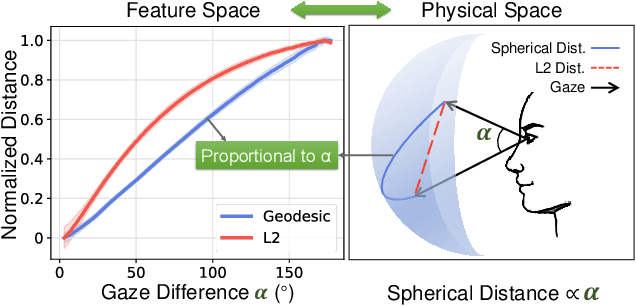 Figure 3 for PCFGaze: Physics-Consistent Feature for Appearance-based Gaze Estimation