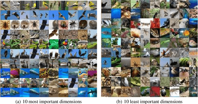 Figure 1 for Identifiable Contrastive Learning with Automatic Feature Importance Discovery