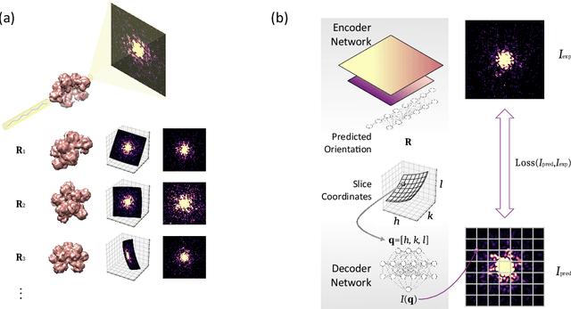 Figure 1 for Augmenting x-ray single particle imaging reconstruction with self-supervised machine learning