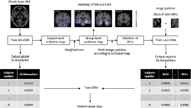 Figure 2 for An Interpretable Machine Learning Model with Deep Learning-based Imaging Biomarkers for Diagnosis of Alzheimer's Disease