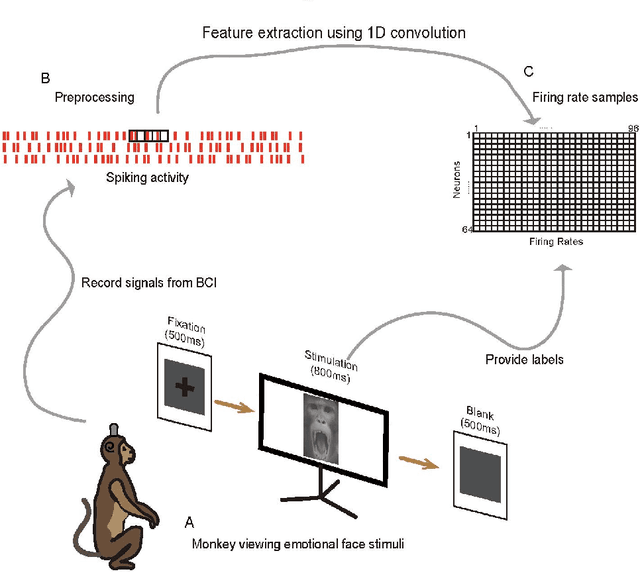 Figure 1 for A Deep-Learning-Based Neural Decoding Framework for Emotional Brain-Computer Interfaces