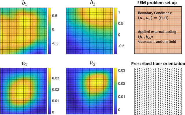 Figure 3 for Heterogeneous Peridynamic Neural Operators: Discover Biotissue Constitutive Law and Microstructure From Digital Image Correlation Measurements