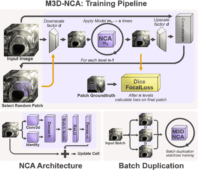 Figure 4 for M3D-NCA: Robust 3D Segmentation with Built-in Quality Control