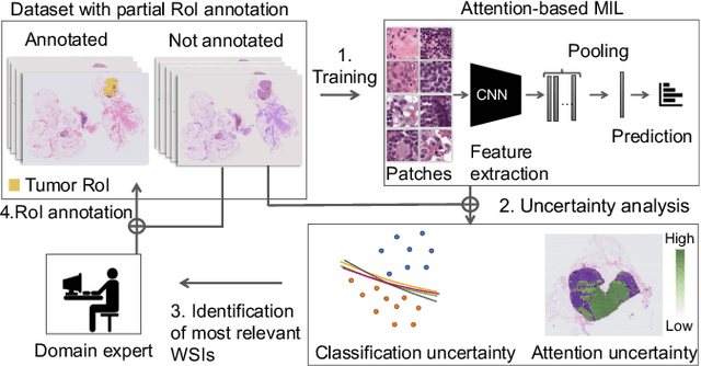 Figure 1 for Active Learning Enhances Classification of Histopathology Whole Slide Images with Attention-based Multiple Instance Learning