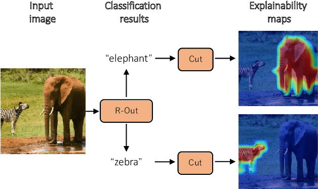 Figure 1 for R-Cut: Enhancing Explainability in Vision Transformers with Relationship Weighted Out and Cut