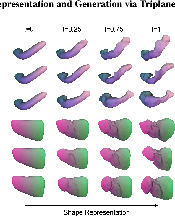 Figure 2 for Hybrid Neural Diffeomorphic Flow for Shape Representation and Generation via Triplane