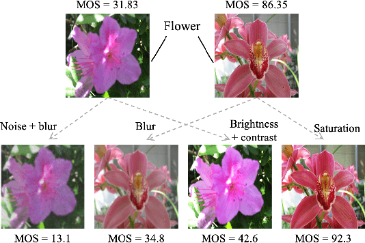 Figure 1 for Quality-aware Pre-trained Models for Blind Image Quality Assessment