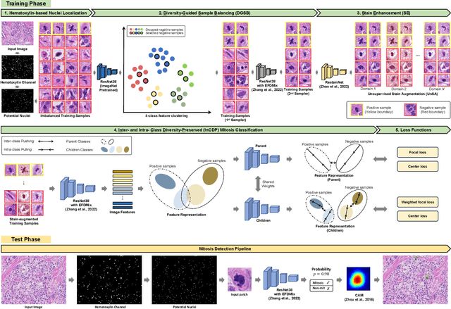 Figure 2 for Rethinking Mitosis Detection: Towards Diverse Data and Feature Representation