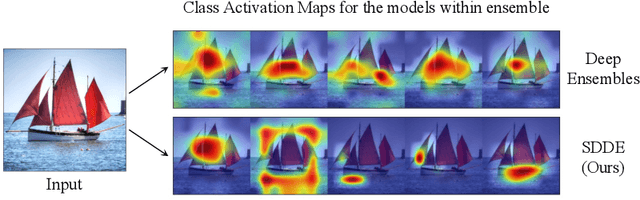 Figure 1 for Diversifying Deep Ensembles: A Saliency Map Approach for Enhanced OOD Detection, Calibration, and Accuracy