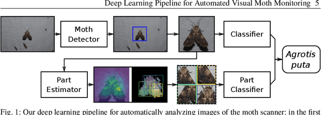 Figure 1 for Deep Learning Pipeline for Automated Visual Moth Monitoring: Insect Localization and Species Classification