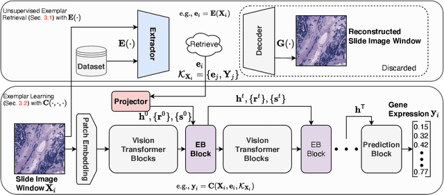 Figure 3 for Exemplar Guided Deep Neural Network for Spatial Transcriptomics Analysis of Gene Expression Prediction