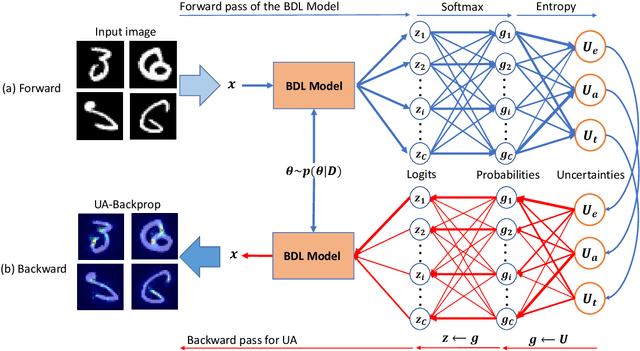 Figure 1 for Gradient-based Uncertainty Attribution for Explainable Bayesian Deep Learning