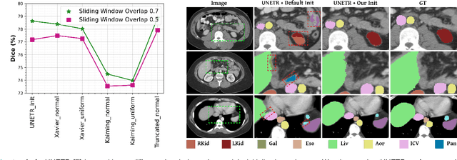 Figure 1 for Learnable Weight Initialization for Volumetric Medical Image Segmentation