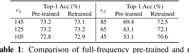 Figure 2 for Frequency and Scale Perspectives of Feature Extraction