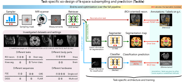 Figure 2 for Learning Task-Specific Strategies for Accelerated MRI