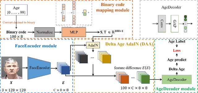 Figure 1 for DAA: A Delta Age AdaIN operation for age estimation via binary code transformer