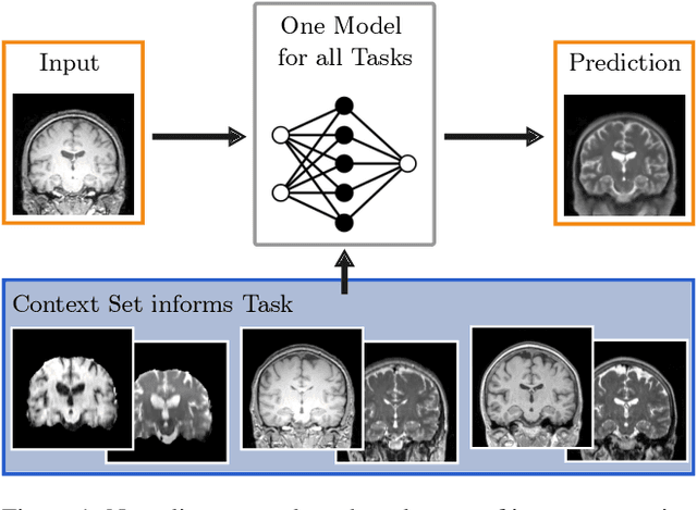 Figure 1 for Neuralizer: General Neuroimage Analysis without Re-Training