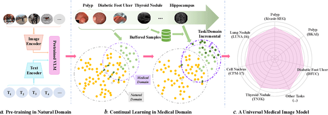 Figure 3 for Towards General Purpose Medical AI: Continual Learning Medical Foundation Model