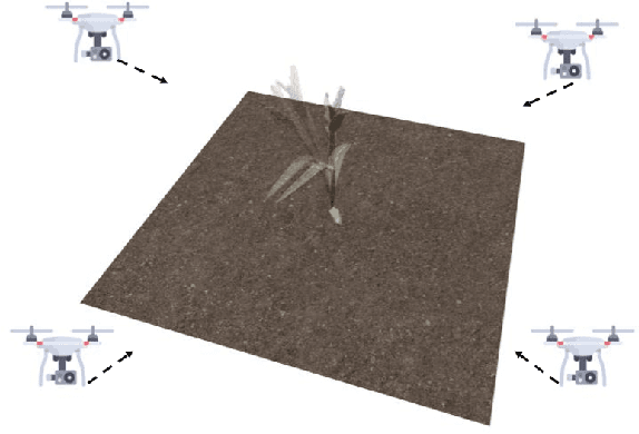 Figure 1 for 3D Reconstruction in Noisy Agricultural Environments: A Bayesian Optimization Perspective for View Planning