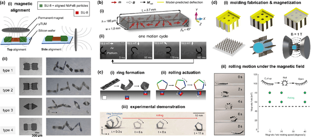 Figure 4 for Design, Actuation, and Functionalization of Untethered Soft Magnetic Robots with Life-Like Motions: A Review