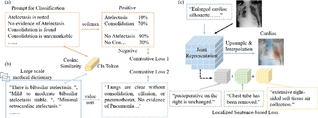 Figure 4 for MGA: Medical generalist agent through text-guided knowledge transformation