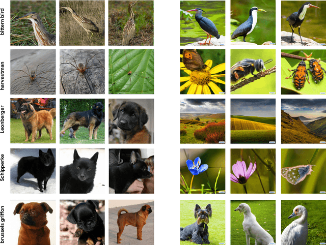 Figure 3 for Synthetic Data from Diffusion Models Improves ImageNet Classification
