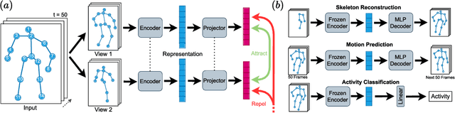 Figure 1 for Contrastive Self-Supervised Learning for Skeleton Representations