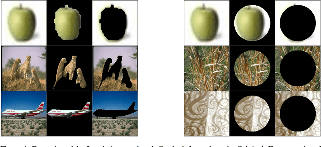 Figure 1 for Evaluating The Robustness of Self-Supervised Representations to Background/Foreground Removal