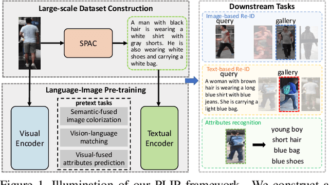 Figure 1 for PLIP: Language-Image Pre-training for Person Representation Learning