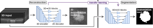 Figure 3 for Self-supervised learning via inter-modal reconstruction and feature projection networks for label-efficient 3D-to-2D segmentation