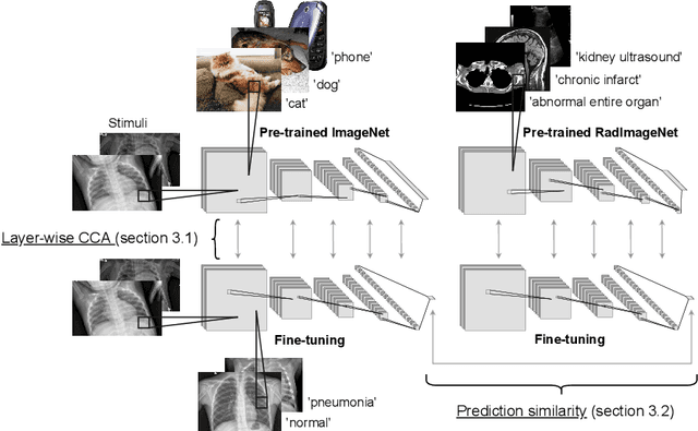 Figure 1 for Revisiting Hidden Representations in Transfer Learning for Medical Imaging
