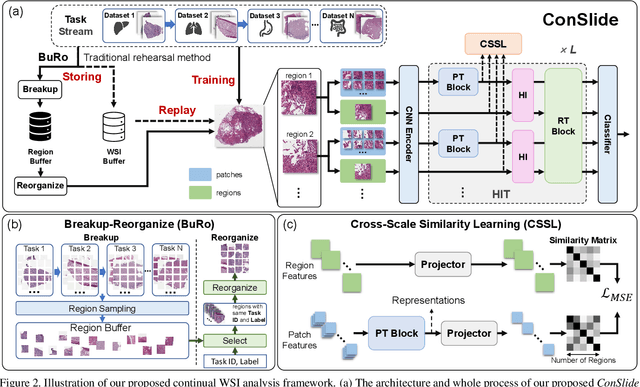 Figure 3 for ConSlide: Asynchronous Hierarchical Interaction Transformer with Breakup-Reorganize Rehearsal for Continual Whole Slide Image Analysis