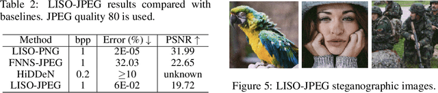 Figure 4 for Learning Iterative Neural Optimizers for Image Steganography