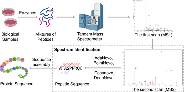 Figure 3 for AdaNovo: Adaptive \emph{De Novo} Peptide Sequencing with Conditional Mutual Information